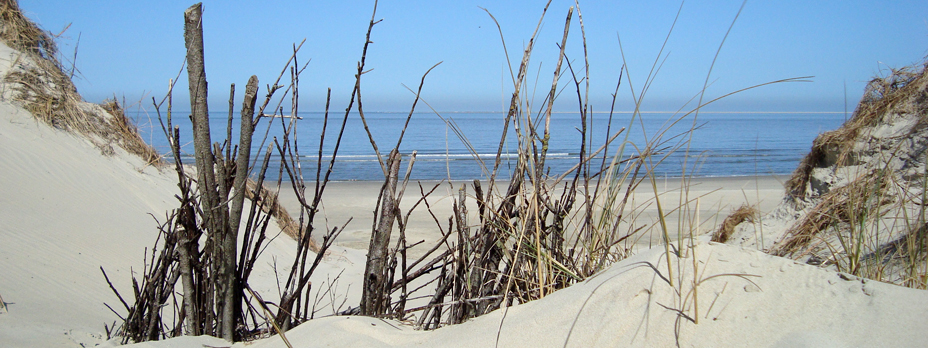 strand_dune